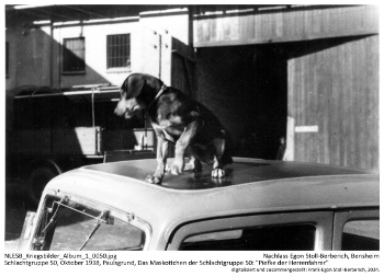 Schlachtgruppe 50, Oktober 1938, Paulsgrund, Das Maskottchen der Schlachtgruppe 50: "Piefke als Herrenfahrer". NLESB_Kriegsbilder_Album1_0050.