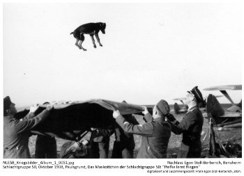 Schlachtgruppe 50, Oktober 1938, Paulsgrund, Das Maskottchen der Schlachtgruppe 50: "Piefke lernt fliegen". NLESB_Kriegsbilder_Album1_0051.